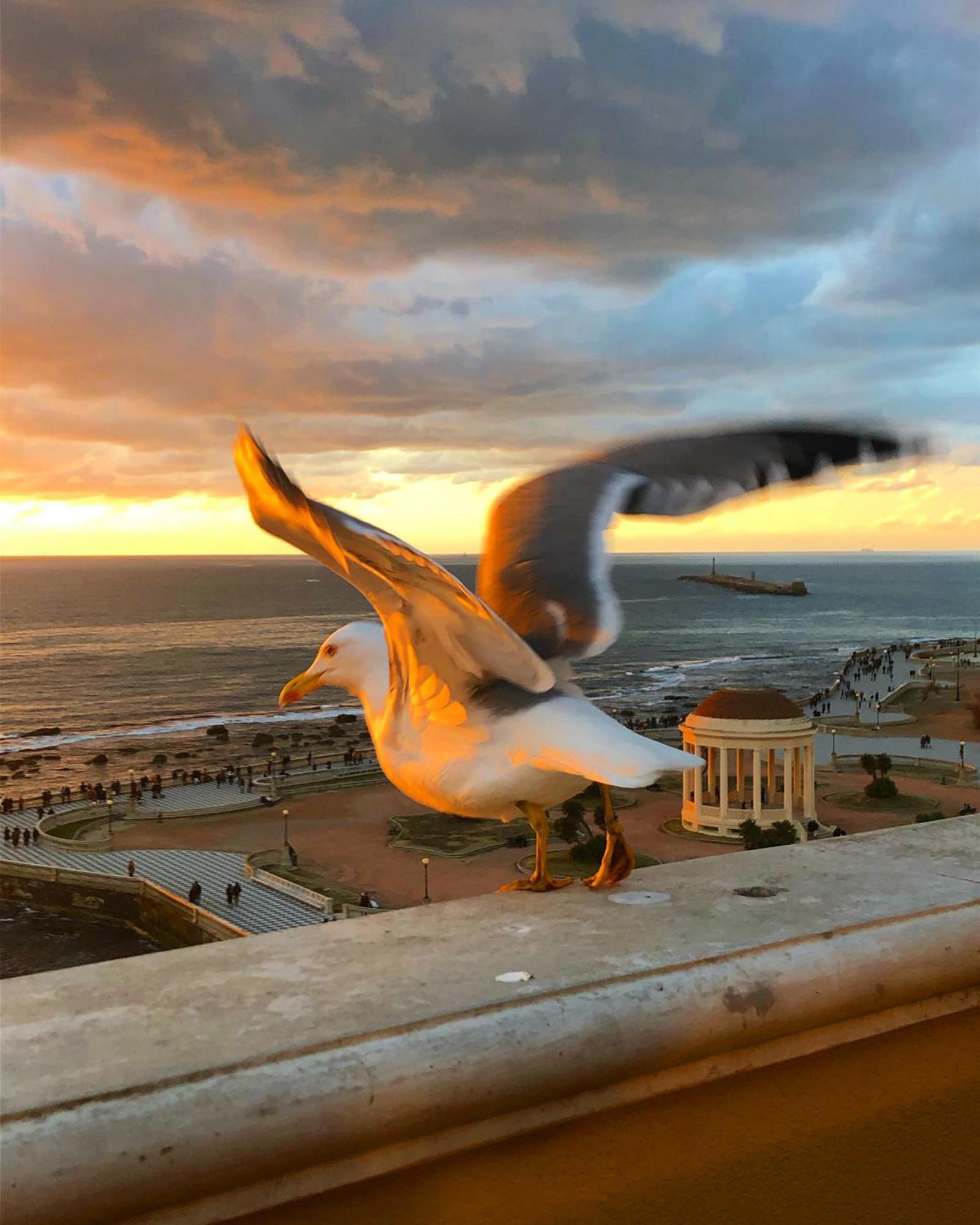 Livorno Apartment Экстерьер фото
