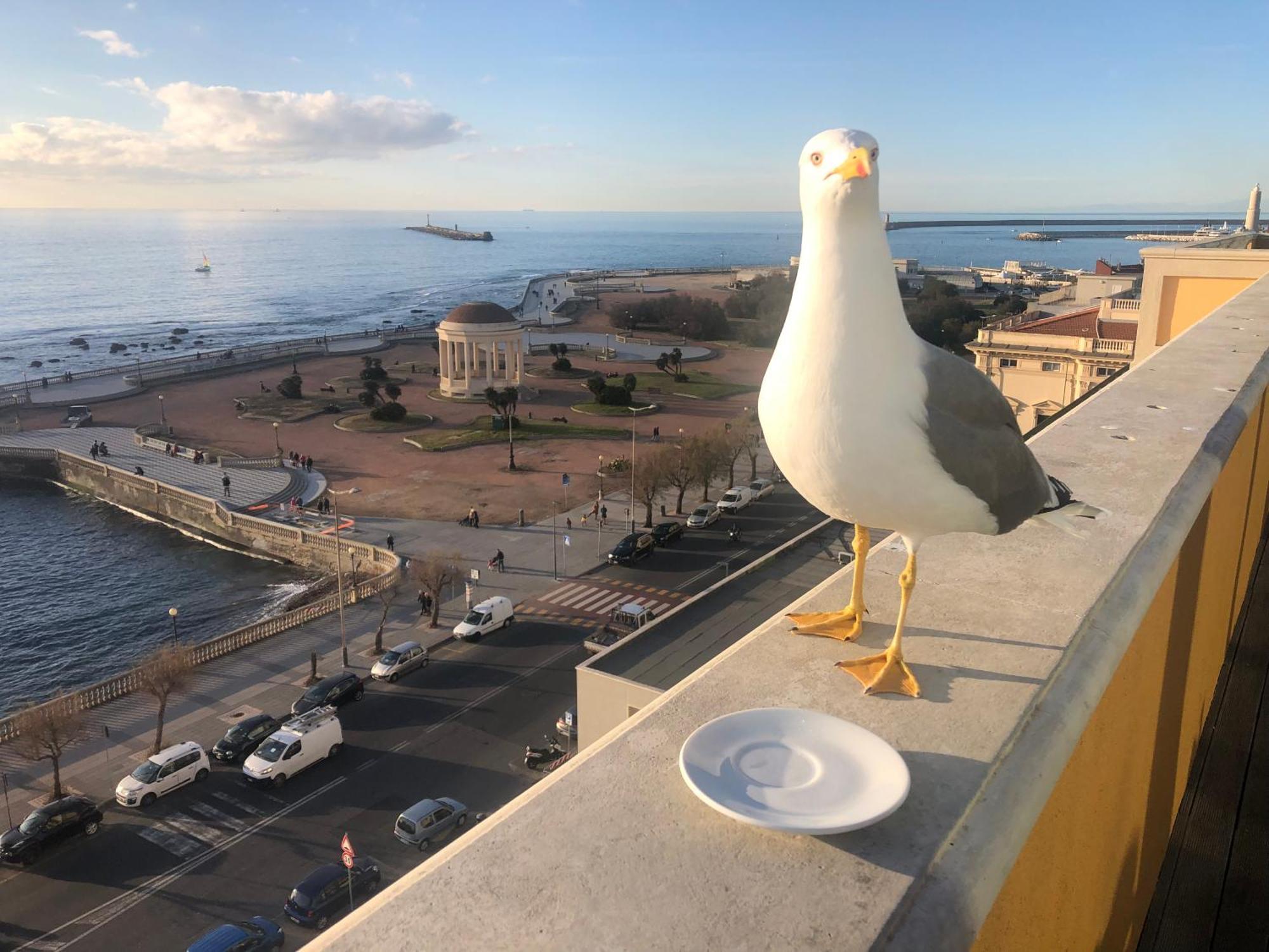 Livorno Apartment Экстерьер фото